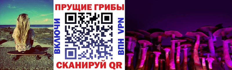 shop Telegram  Болохово  Галлюциногенные грибы ЛСД  хочу наркоту 
