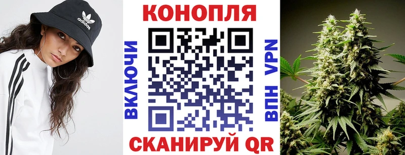 Конопля гибрид  ссылка на мегу зеркало  Болохово 